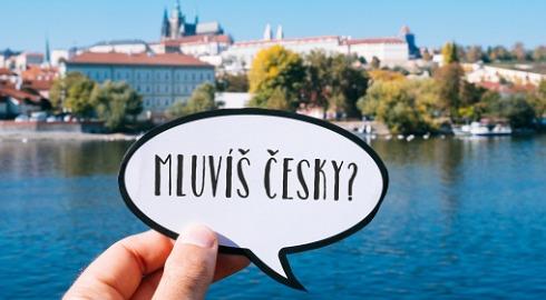 Лайв урок чешского языка